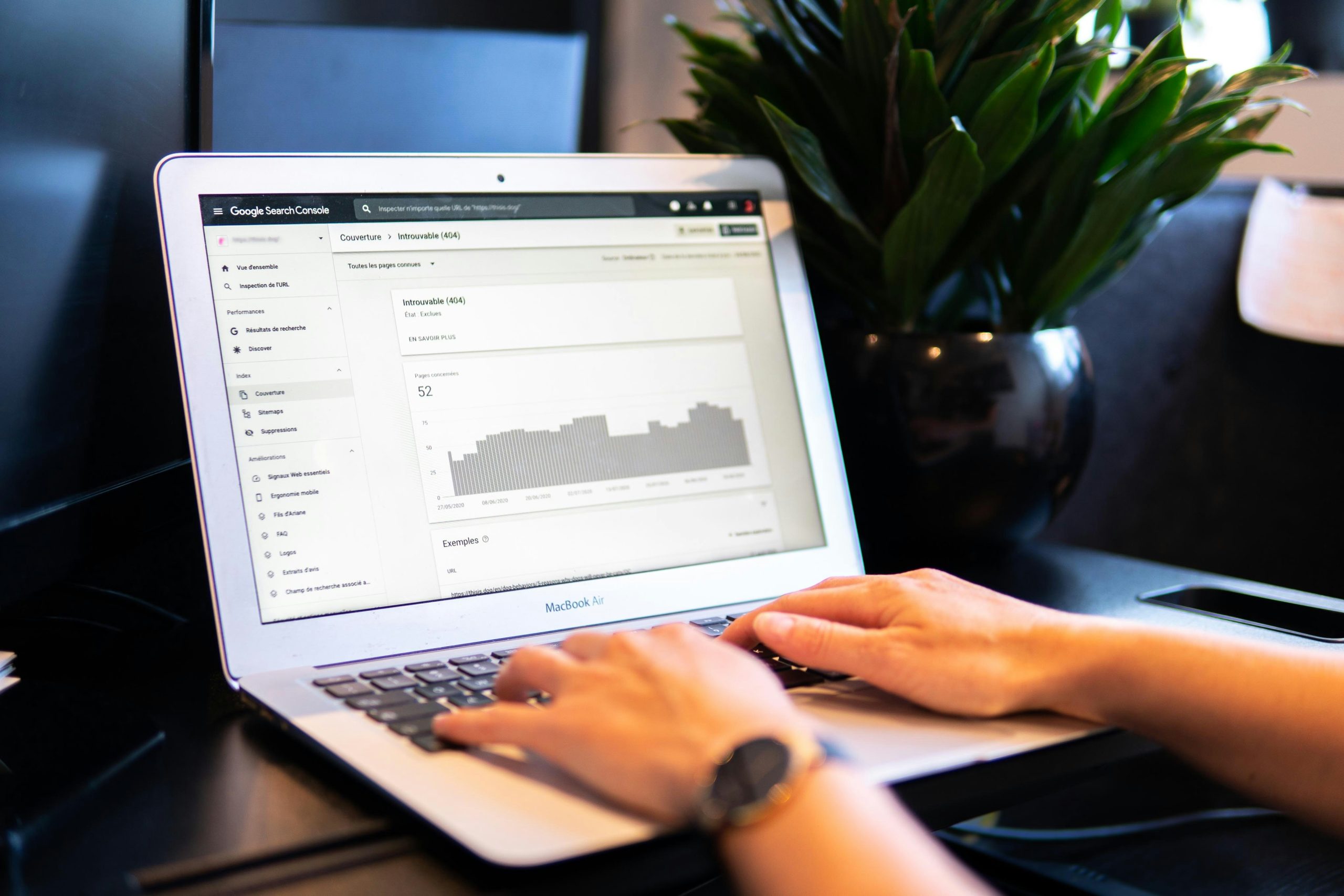SEO para sites novos: como aumentar a visibilidade online desde o início